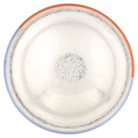 Nivea Flexible Curls & Care Styling Mousse 150 ml